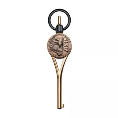 ASP Guardian G2 Gold Logo Handcuff Key